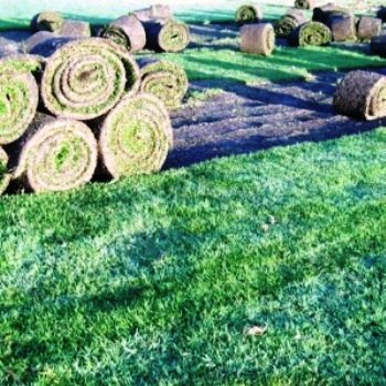 Servicios de Jardineria